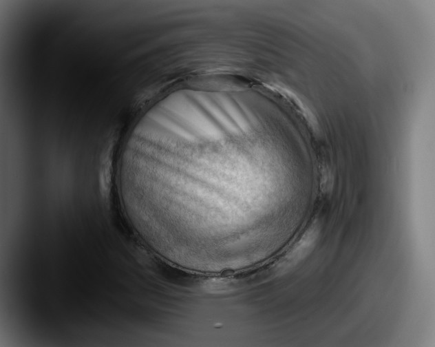 X0000087551161200705181101