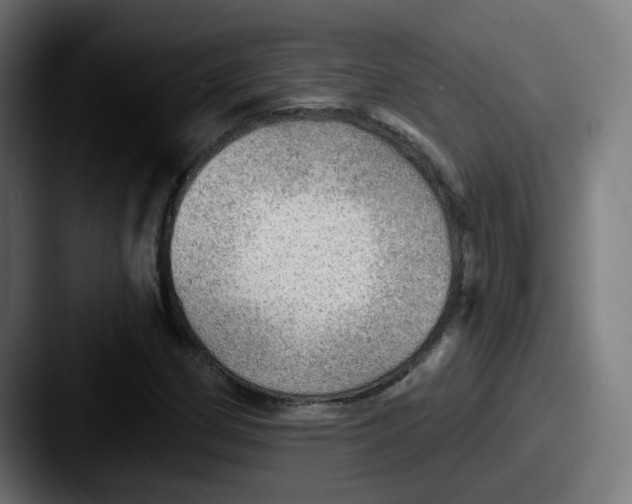 X0000087551162200705181101