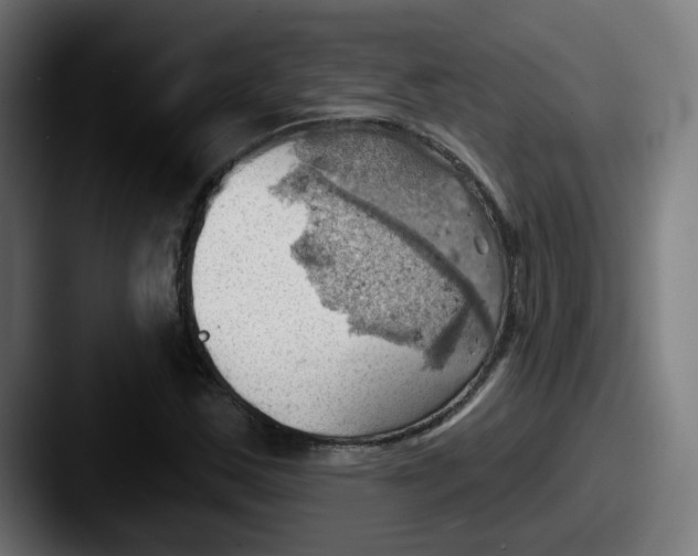 X0000087551163200705181101