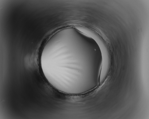 X0000087551164200705181101