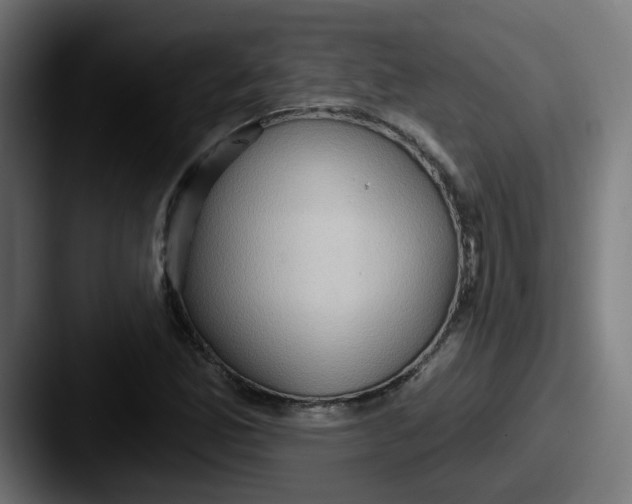 X0000087551165200705181101