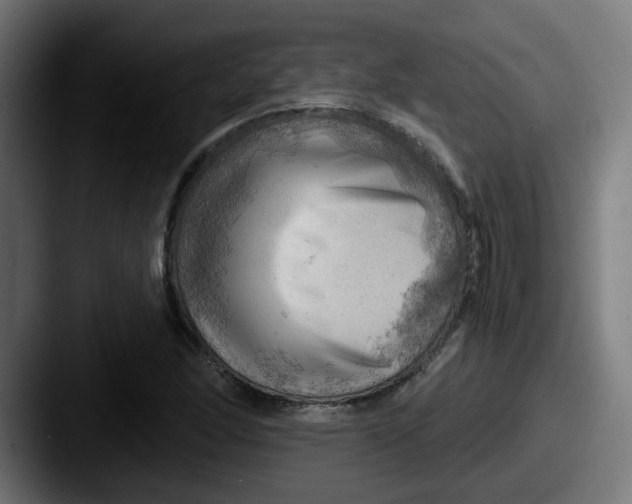 X0000087551166200705181101