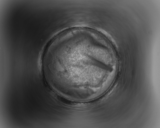 X0000087551167200705181101