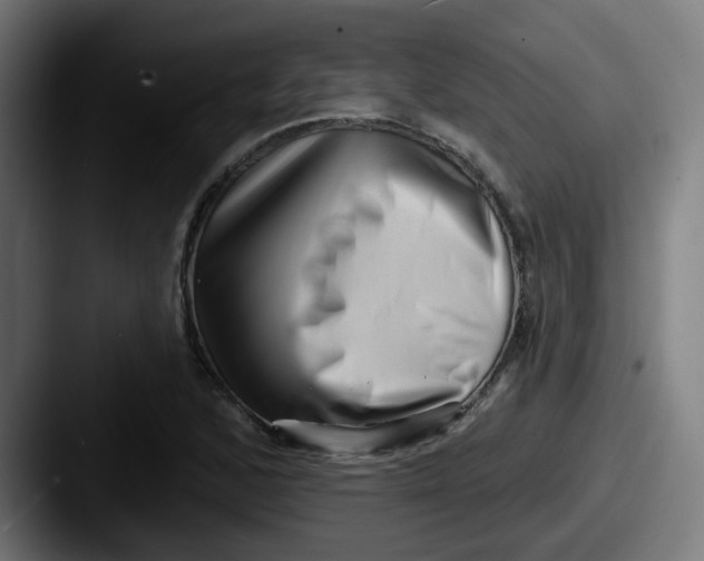 X0000087551168200705181101