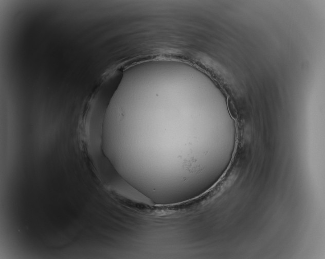 X0000087551169200705181101