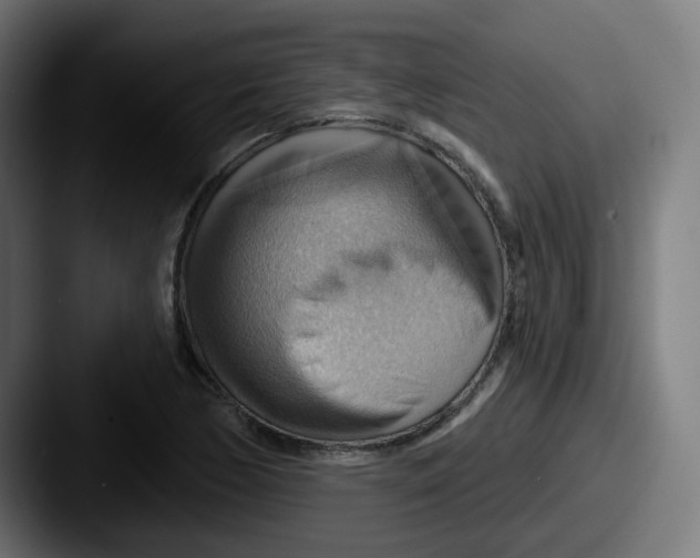 X0000087551170200705181101