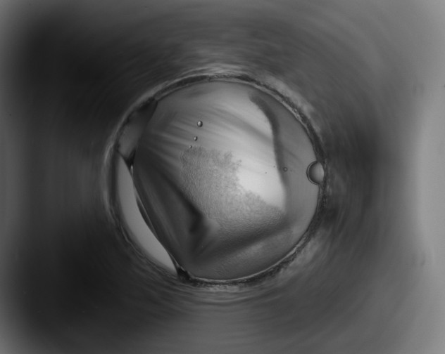 X0000087551171200705181101