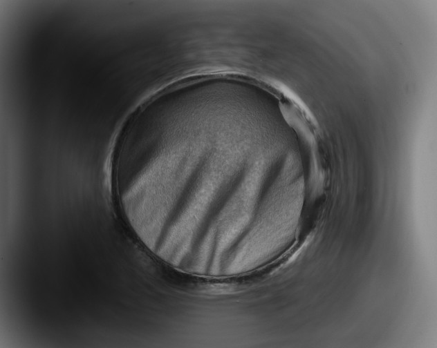 X0000087551173200705181101