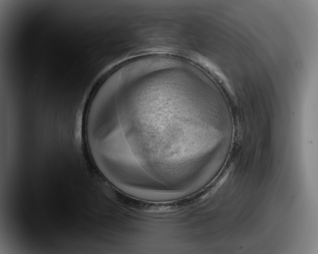 X0000087551174200705181101