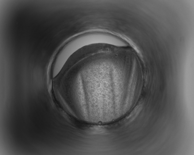 X0000087551175200705181101