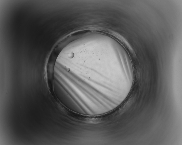 X0000087551176200705181101