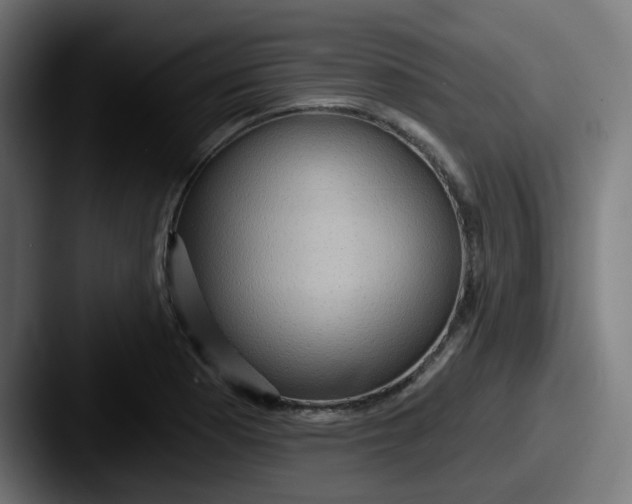 X0000087551177200705181101