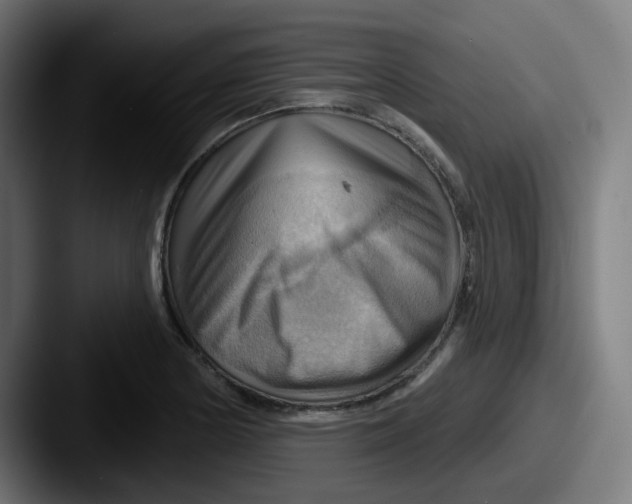 X0000087551178200705181101