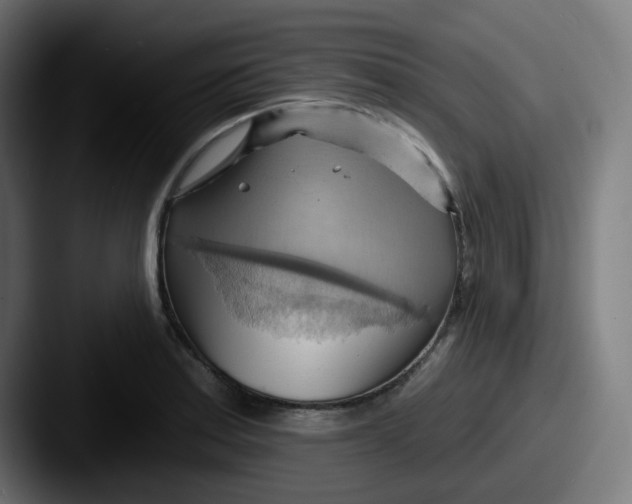 X0000087551179200705181101