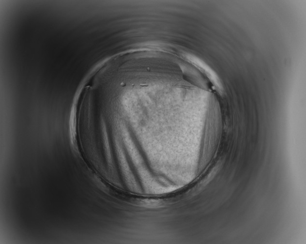 X0000087551180200705181101