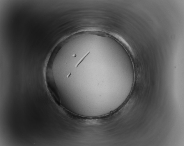 X0000087551181200705181101