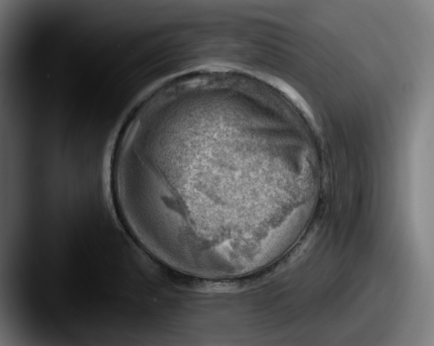 X0000087551183200705181101