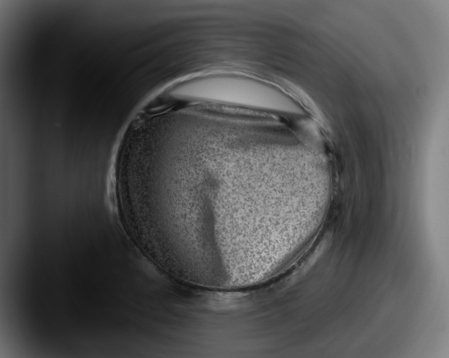 X0000087551184200705181101