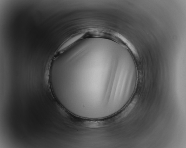 X0000087551185200705181101