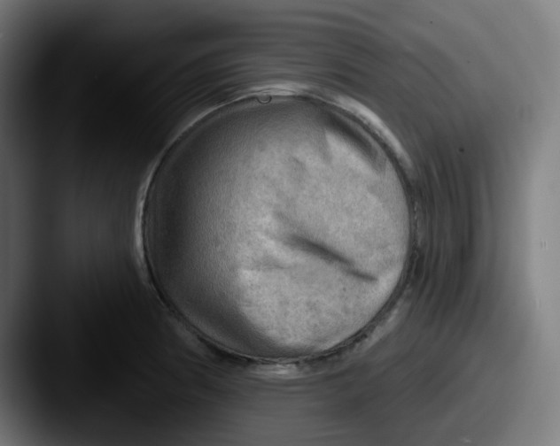 X0000087551186200705181101