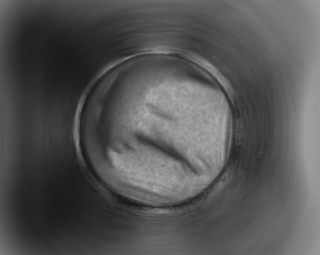 X0000087551187200705181101