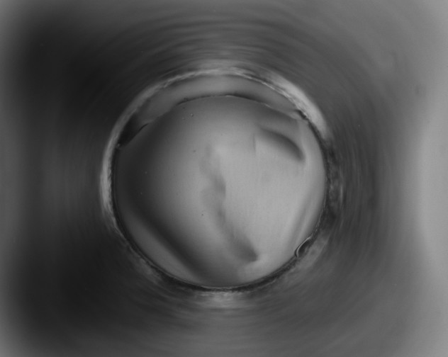 X0000087551188200705181101