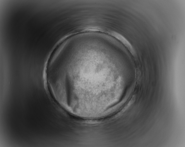 X0000087551190200705181101