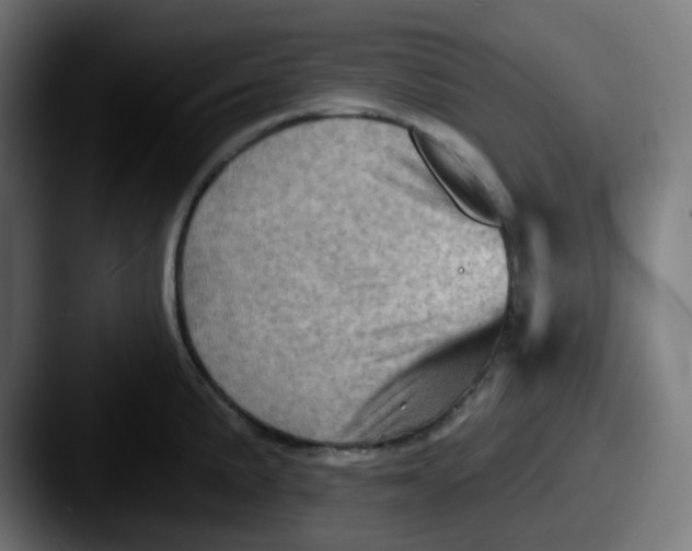 X0000087551191200705181101