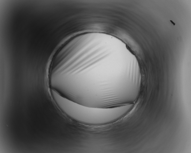 X0000087551192200705181101