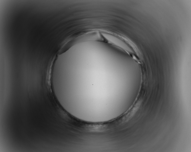 X0000087551193200705181101