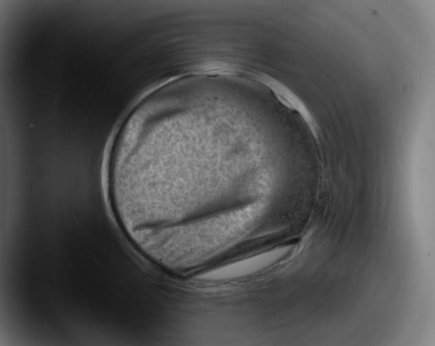 X0000087551195200705181101