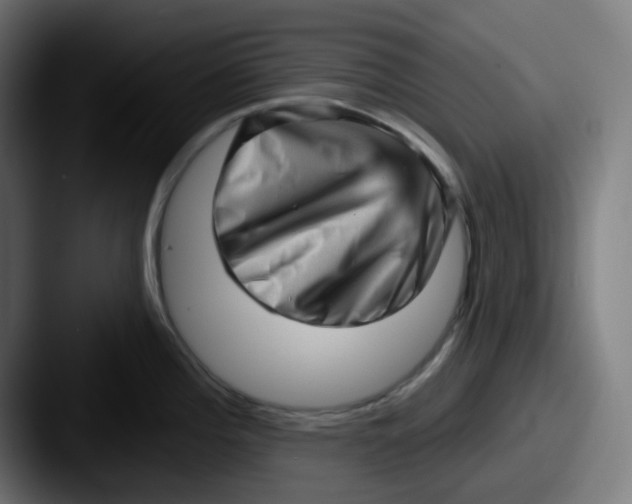 X0000087551196200705181101