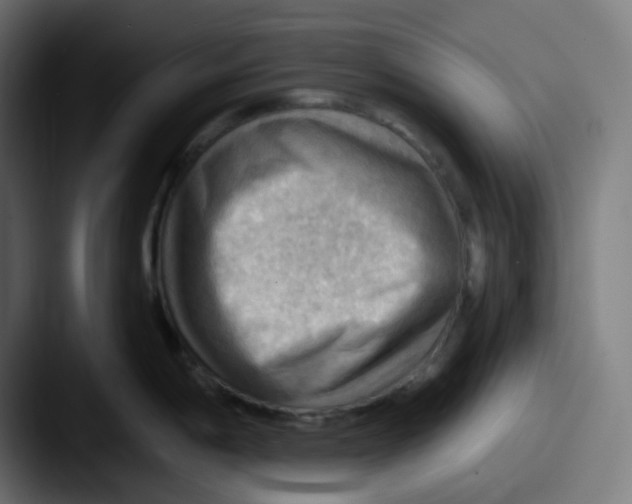 X0000087551198200705181101