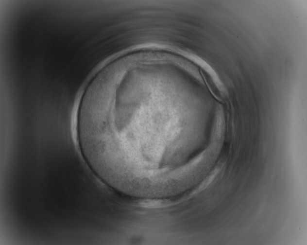 X0000087551199200705181101