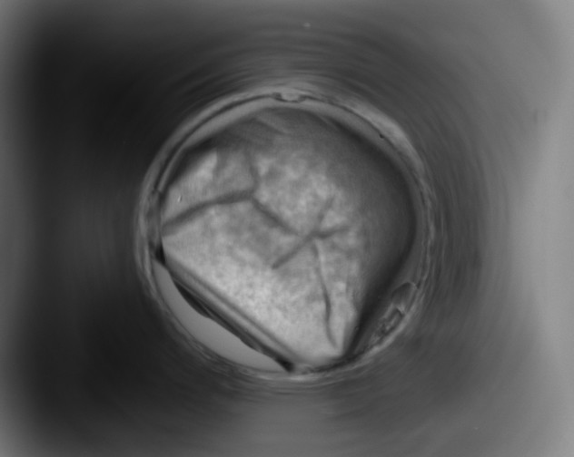 X0000087551200200705181101