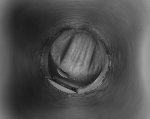 X0000087551202200705181100