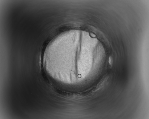 X0000087551203200705181100