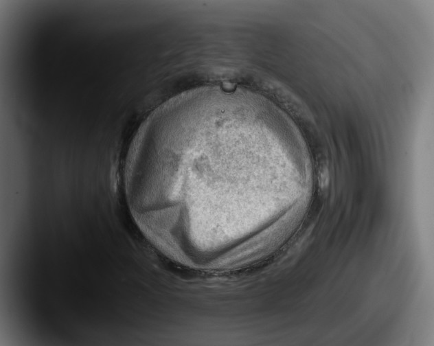 X0000087551204200705181100