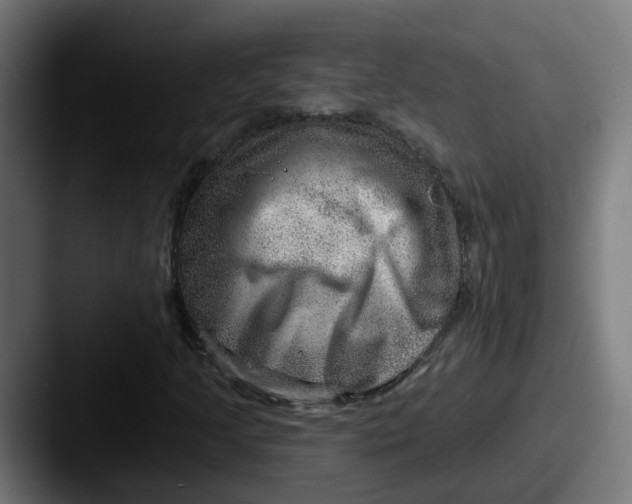 X0000087551205200705181100