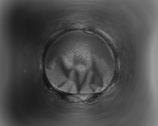 X0000087551206200705181100