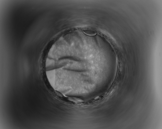 X0000087551208200705181100