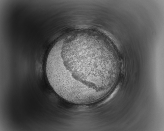 X0000087551209200705181100