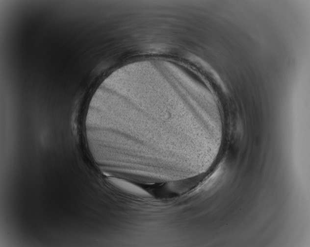 X0000087551210200705181100