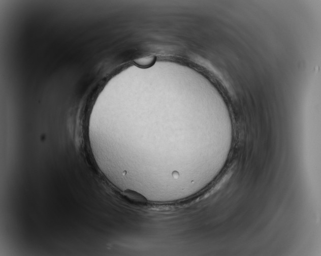 X0000087551211200705181100