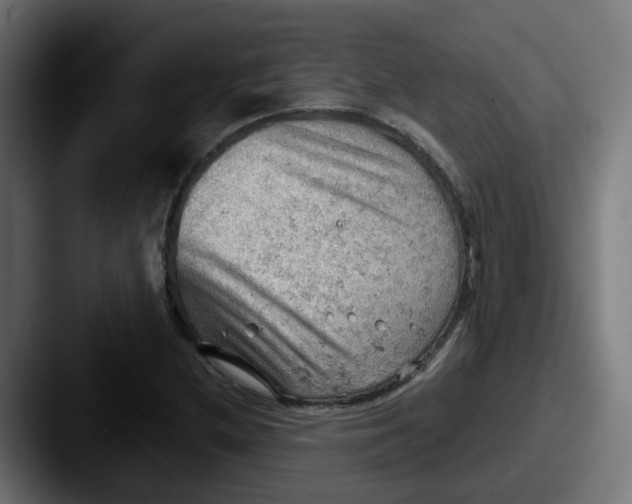 X0000087551212200705181100