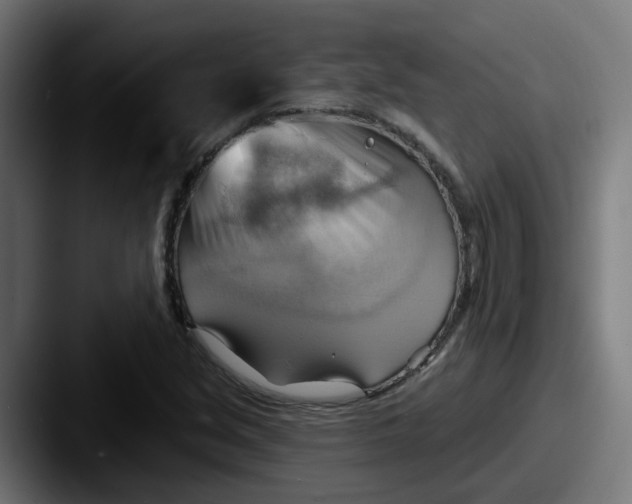 X0000087551213200705181100