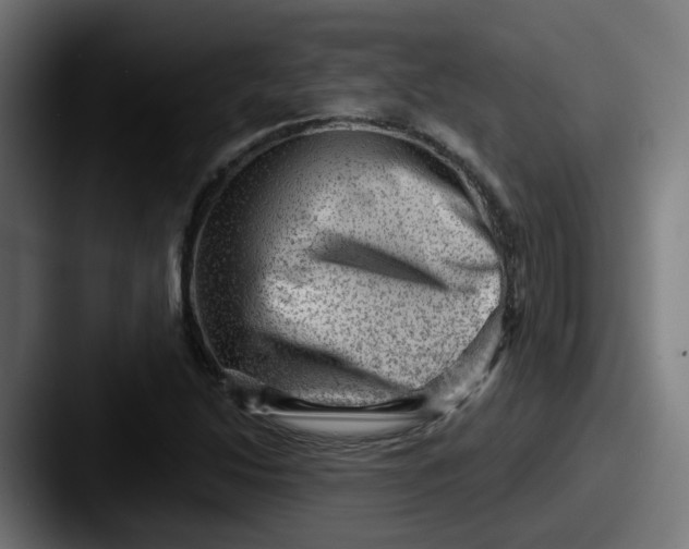 X0000087551214200705181100