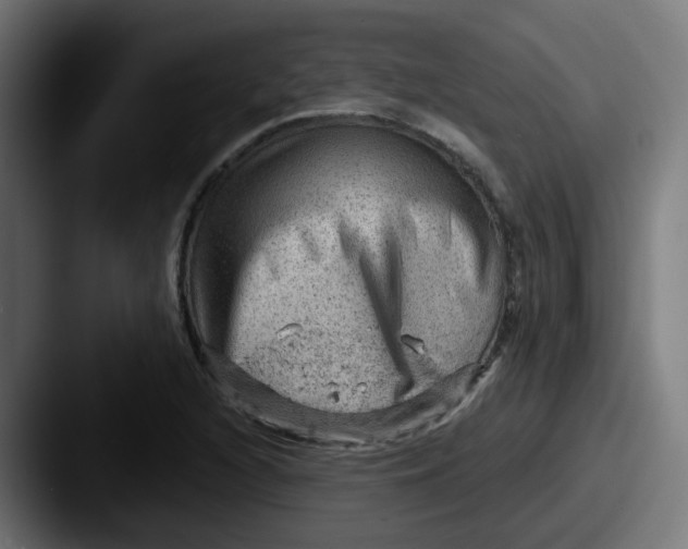 X0000087551216200705181100