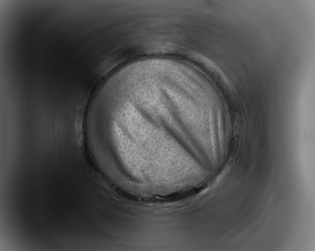 X0000087551217200705181100