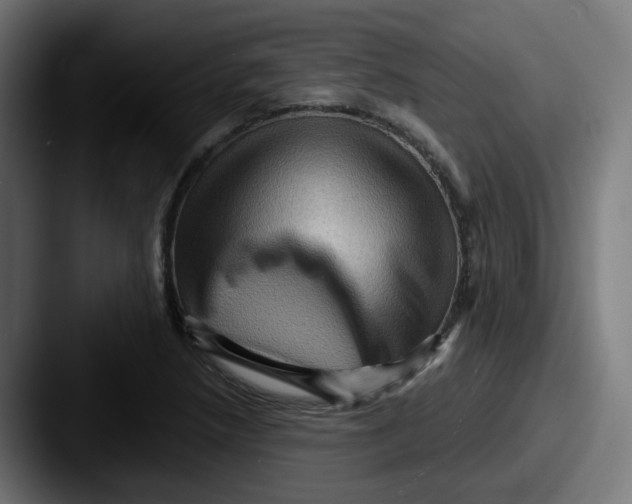 X0000087551218200705181100